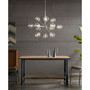 Paige Chandelier