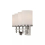Colton 4-Light Bathroom Vanity Light