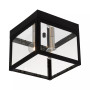 Nyack 2-Light Flush Mount