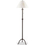 Wyndmere Iron Floor Lamp with Pull Chain