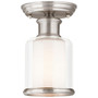 Middlebush Flush Mount Light