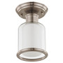 Middlebush Flush Mount Light