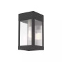Barrett 1-Light Outdoor Wall Lantern