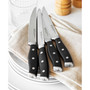 Forged Accent 4 Piece Steak Set