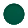 Fun Colors 14" Round Serving Tray