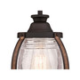Lighting Canyon One-Light Indoor Mini Pendant