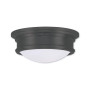 Astor 2-Light Ceiling Mount