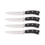 4-Piece Steak Knife Set