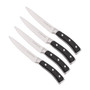 4-Piece Steak Knife Set
