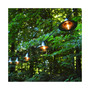 Lumabase 10 Gun Metal Electric Cafe String Lights