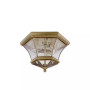 Monterey 3-Light Ceiling Mount