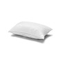 White Down Firm Pillow, with MicronOne Technology, Dust Mite, Bedbug, and Allergen-Free Shell, Standard