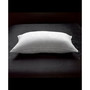 White Down Firm Pillow, with MicronOne Technology, Dust Mite, Bedbug, and Allergen-Free Shell, Standard