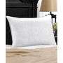 White Down Firm Pillow, with MicronOne Technology, Dust Mite, Bedbug, and Allergen-Free Shell, Standard