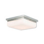 Allure 3-Light ADA Wall Sconce/Ceiling Mount
