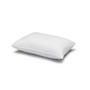 Signature Plush Allergy-Resistant Soft Density Stomach Sleeper Down Alternative Pillow, Standard