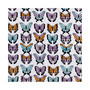 Butterfly Plush Throw, 50" x 70"