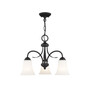 Ridgedale 3-Light Convertible Mini Chandelier/Ceiling Mount