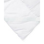 Luxury 2" Loft Down Plush Feather Bed - Full
