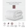 Luxury 2" Loft Down Plush Feather Bed - Full