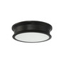 Watkins Flush Mounted Ceiling Light in Classic Bronze