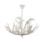 Birch Chandelier