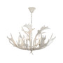 Birch Chandelier