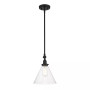 Drake 1-Light Pendant Light