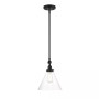 Drake 1-Light Pendant Light