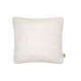 Erie Decorative Pillow, 20" x 20"