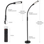 Vista LED 3-in-1 Gooseneck Floor and Desk Lamp with Remote Control