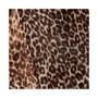 Classic Leopard Plush Throw, 50" x 70"