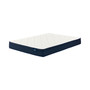 Calming Haven 9.5" Medium Eurotop Mattress- Twin XL
