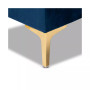 Furniture Valere Glam and Luxe Upholstered Button Tufted Storage Ottoman