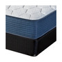 11" Plush Mattress Set- Twin XL