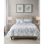 Sofia Reversible 6-Pc. Comforter Set, Twin