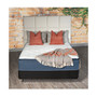 13" Plush Pillow Top Mattress Set- Twin