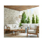 Savona Club chair