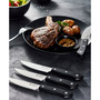 Wolfgang Starke 5" Steak Knife Set, 4 Piece