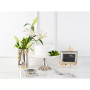 Laurel Collection