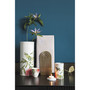 Amazonia Tea Light