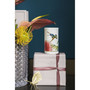 Amazonia Tea Light