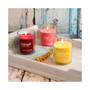 LumaBase Scented Candles- Wine Collection- Set of 3