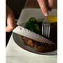 Premier 4-Pc. Steak Knife Set