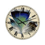 Colorful Elegant Feather I Oversized Cottage Wall Clock - 36" x 28" x 1"