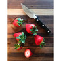 Pro 3" Paring Knife