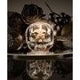 Clear Still Life Votive