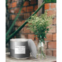 White Musk and Santal Candle, 14.5 oz