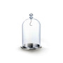 Bell Jar Display, Large