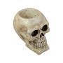 Halloween Skull Tabletop Decoration, 11"